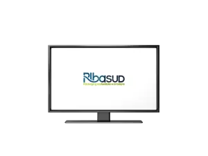 Content Creation - Ribasud